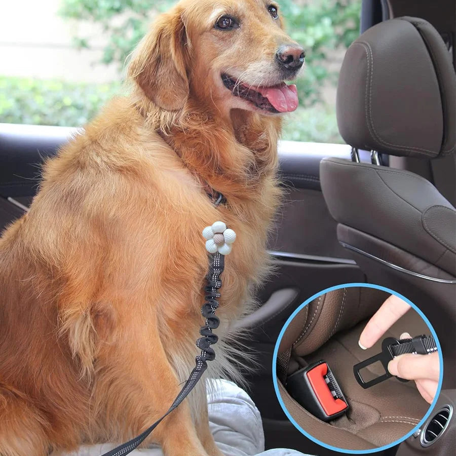 Cinto de segurança para cães, arnês de segurança ajustável com bungee elástico e alça reflexiva, cinto de segurança para animais de estimação de veículos de nylon para cães